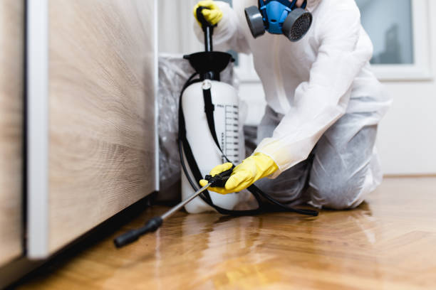 Best Insect Control  in Lucerne Valley, CA