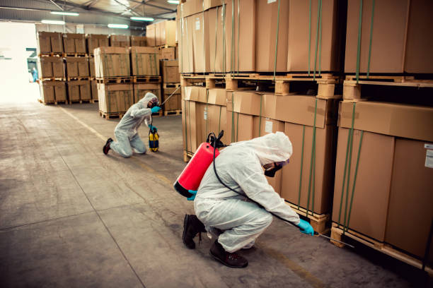 Best Wasp Removal Services  in Lucerne Valley, CA