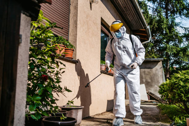 Best Flea Control Services  in Lucerne Valley, CA